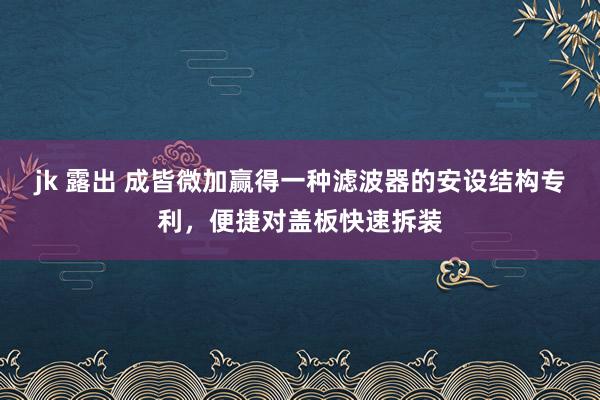 jk 露出 成皆微加赢得一种滤波器的安设结构专利，便捷对盖板快速拆装