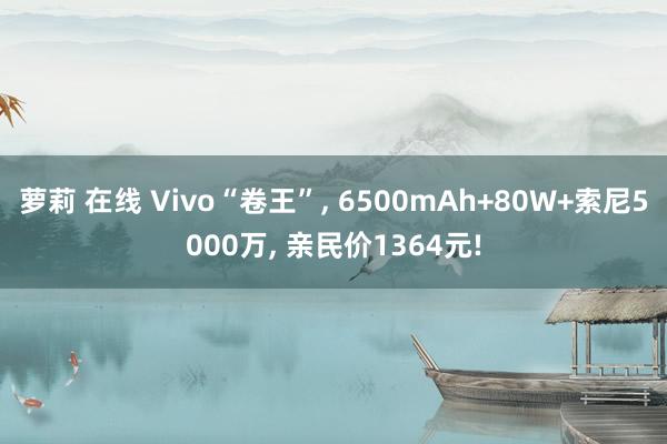 萝莉 在线 Vivo“卷王”， 6500mAh+80W+索尼5000万， 亲民价1364元!