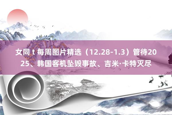 女同 t 每周图片精选（12.28-1.3）管待2025、韩国客机坠毁事故、吉米·卡特灭尽