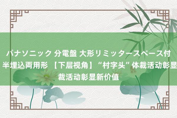 パナソニック 分電盤 大形リミッタースペース付 露出・半埋込両用形 【下层视角】“村字头”体裁活动彰显新价值