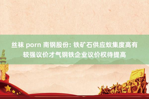 丝袜 porn 南钢股份: 铁矿石供应蚁集度高有较强议价才气钢铁企业议价权待提高