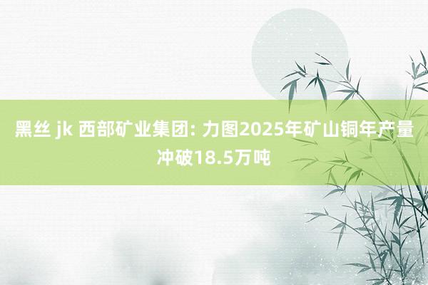 黑丝 jk 西部矿业集团: 力图2025年矿山铜年产量冲破18.5万吨