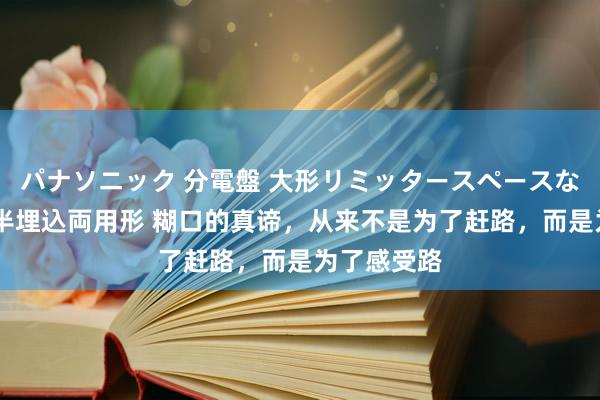 パナソニック 分電盤 大形リミッタースペースなし 露出・半埋込両用形 糊口的真谛，从来不是为了赶路，而是为了感受路