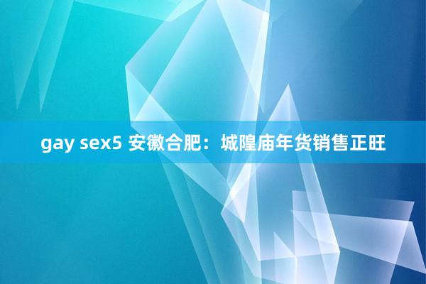 gay sex5 安徽合肥：城隍庙年货销售正旺