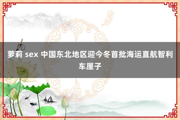 萝莉 sex 中国东北地区迎今冬首批海运直航智利车厘子