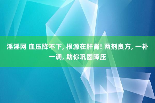 淫淫网 血压降不下， 根源在肝肾! 两剂良方， 一补一调， 助你巩固降压